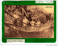 SIERRA LEONE UN PONT DE LIANE - Sierra Leone