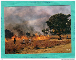 AFRIQUE EN COULEUR FEU DE BROUSSE - Non Classés