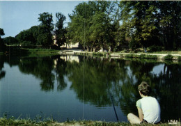 Bulgnéville - Lac Des Récollets - Bulgneville