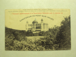 56447 - MONT-SUR-MEUSE - SANATORIUM DE MONT-SUR-MEUSE - ZIE 2 FOTO'S - Yvoir