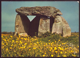 LOCMARIAQUER DOLMEN DE KERCADORET - Dolmen & Menhire