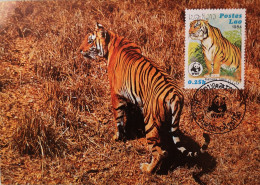 Laos 1994 Maximumkarte WWF Foto + Frankatur Tiger 0.25k - Laos