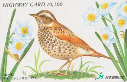 Carte JAPON - Série PEINTURE OISEAU & FLEUR - GRIVE - ANIMAL THRUSH BIRD JAPAN Highway Ticket Card - HW 5818 - Passereaux