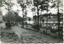 LAVIT De LOMAGNE -  BORDS Du LAC - LE CHÊNERAIE - - Lavit