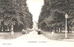 ORMESSON - Le Château - VENTE DIRECTE X - Ormesson Sur Marne