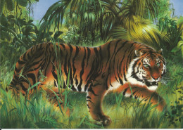 Tiger SHERE KHAN - Artist Impression By Alex Robson (Dschungelbuch) - Tiger