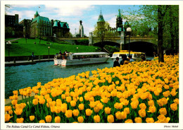 Canada Otttawa The Rideau Canal Beautiful Yellow Tulips - Ottawa