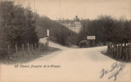 Chemin Forestier De La Gileppe Début 1900 - Verviers