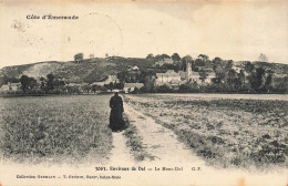 Dol De Bretagne * Environs * Le Mont Dol , Route Chemin - Dol De Bretagne