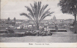 ITALIE LAZIO  ROMA ROME PANORAMA DEL PINCIO - Panoramische Zichten, Meerdere Zichten