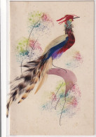 Feather Hand Made Bird Peacock Paon . Oiseau Fait Avec De Vraies Plumes - Sonstige & Ohne Zuordnung