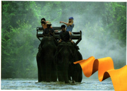 CPM - THAÏLANDE - Elephant Trekking In Thailand's Far North - Edition Thai - Thaïlande