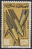 N° 497 Du Maroc - X X - ( E 1151 ) - Agriculture