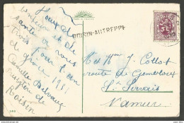 Belgique - Griffe Linéaire ROISIN-AUTREPPE Et Obl. MONS 2 - Langstempel