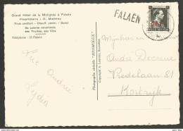 Belgique - Griffe Linéaire FALAËN - Carte Grand Hôtel De La Molignée - Linear Postmarks