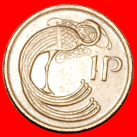 * BOOK OF KELLS (1971-2000): IRELAND  1 PENNY 1980! ·  LOW START · NO RESERVE! - Irlande