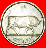 * GREAT BRITAIN (1951-1968): IRELAND  1 SHILLING 1954 BULL! ·  LOW START · NO RESERVE! - Irlande