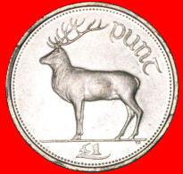 * DEER (1990-2000): IRELAND  1 POUND 1998! ·  LOW START · NO RESERVE! - Irlande