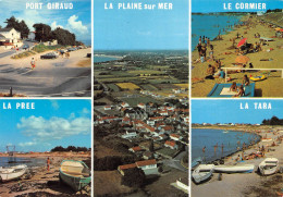 LA PLAINE SUR MER      MULTIVUE - La-Plaine-sur-Mer