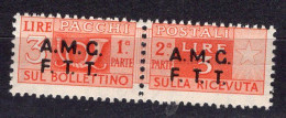 Z6893 - TRIESTE AMG-FTT PACCHI SASSONE N°3 ** - Colis Postaux/concession