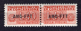 Z6904 - TRIESTE AMG-FTT PACCHI IN CONCESSIONE SASSONE N°1 ** - Postal And Consigned Parcels