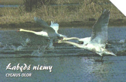 Poland:Used Phonecard, Telekomunikacja Polska S.A., 25 Units, Bird, Swan, Cygnus Olor - Sonstige & Ohne Zuordnung