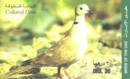 United Arab Emirates:Used Phonecard, 30 DHS., Bird, Collared Dove - Otros & Sin Clasificación