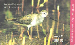 United Arab Emirates:Used Phonecard, 30 DHS., Bird, Terek Sandpiper - Passereaux