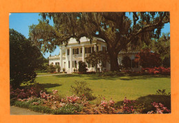 ORTON PLANTATION - Other & Unclassified