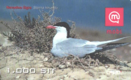 Slovenia:Used Phonecard, Mobi, 1000 SIT. Bird, Sterna Hirundo, 2005 - Sonstige & Ohne Zuordnung