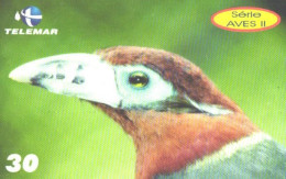 Brazil:Brasil:Used Phonecard, Telemar, 30 Credits, Bird Selenidera Macullirostris, 2001 - Sperlingsvögel & Singvögel