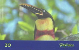 Brazil:Brasil:Used Phonecard, Telemar, 30 Credits, Bird Pterglossus Castanotis, 1999 - Sperlingsvögel & Singvögel