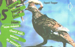 Turkey:Used Phonecard, Türk Telekom, 30 Units, Bird, 2001 - Songbirds & Tree Dwellers