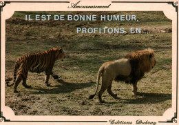 CPM - LION Et TIGRE (Carte Humour) - Edition Artaud - Lions