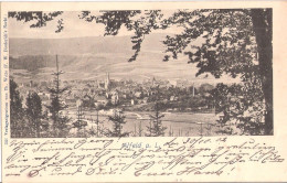 Alfeld A D Leine Bei Hildesheim Passepartout Panorama Ansicht Gelaufen Mit Bahnpost HANNOVER - CASSEL ZUG 31  30.10.1902 - Alfeld