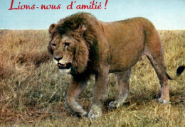 CPM - LIONS D'AFRIQUE (Carte Humour) ... LOT 2 CP - Lions