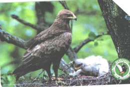 Poland:Used Phonecard, Telekomunikacja Polska S.A., 50 Units, Bird, Eagle - Eagles & Birds Of Prey