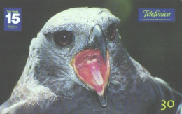 Brazil:Brasil:Used Phonecard, Telefonica, 30 Units, Bird, Morphnus Guianensis, 2001 - Aquile & Rapaci Diurni