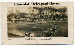 Publicité : Chocolat Delespaul-Havez (Marcq-en-Baroeul), N° 65, Sakkara (Egypte), Vue Générale, 2 Scans - Chocolate