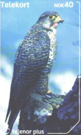Norway:Used Phonecard, Telenor, 40 NOK, Falcon, Bird, Falco Rusticolus, 2002 - Aquile & Rapaci Diurni