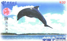 China:Used Phonecard, China Telecom, 30 Y, Jumping Dolphin - Delphine