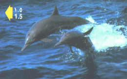 Oman:Used Phonecard, Oman Telecommunications Company, R.O. 1,5, Dolphins - Dolfijnen