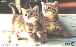 Japan:Used Phonecard, NTT, 105 Units, Cat, Kittens - Katzen