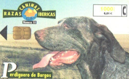 Spain:Used Phonecard, Telefonica, 1000 Pta, Dog, 2002 - Hunde