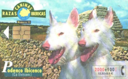 Spain:Used Phonecard, Telefonica, 2000+100 Pta, Dogs, 2002 - Honden