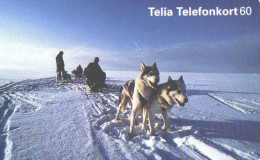 Sweden:Used Phonecard, Telia, 60 Markers, Dogs In Front Of Sleigh - Perros
