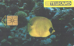 Czech:Used Phonecard, SPT Telecom, 100 Units, Fish, 1996 - Peces
