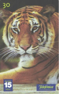 Brazil:Brasil:Used Phonecard, Telefonica, 30 Units, Tiger, Panthera Tigris, 2001 - Giungla