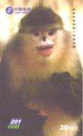 China:Used Phonecard, China Telecom, 20+2 Y, Monkey, 2003 - Dschungel