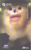 China:Used Phonecard, China Telecom, 20+2 Y, Monkey, 2003 - Oerwoud